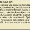 KORREKCIÓS SÍN 7118